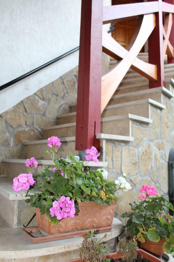 Danubia Apartman Esztergom Exterior photo